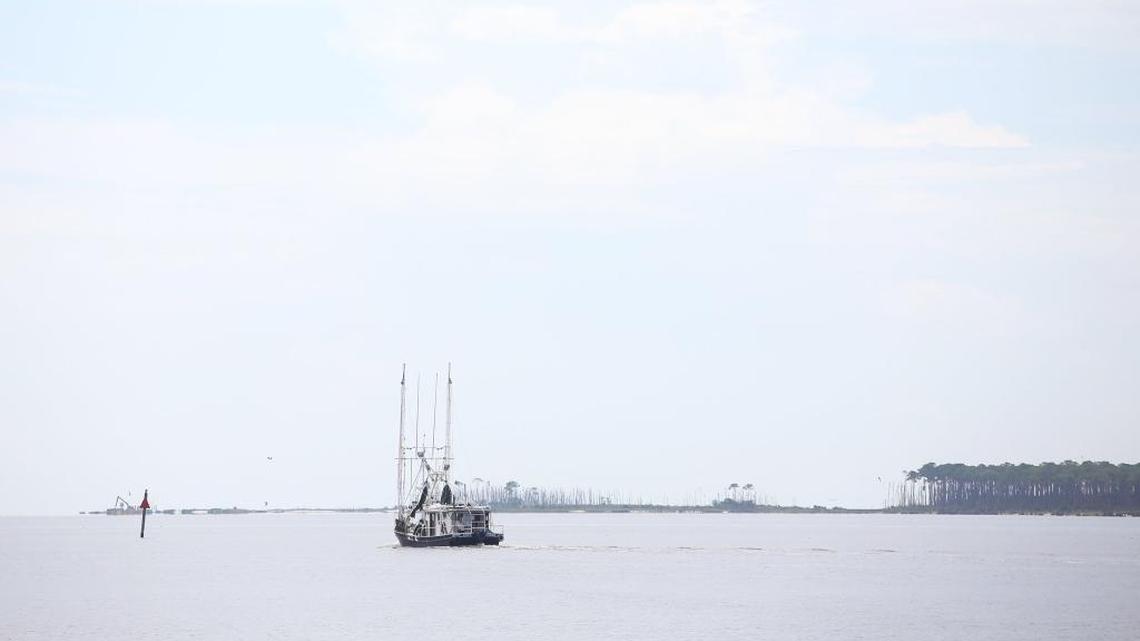 Scenes from the Beach | January 29, 2017