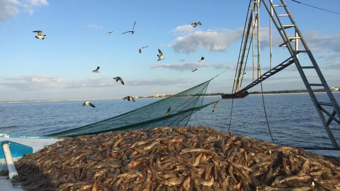 The next time you enjoy Mississippi seafood, celebrate the people who brought it to you