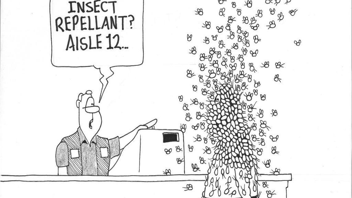 Biting midges are considered vampires of the Insect World