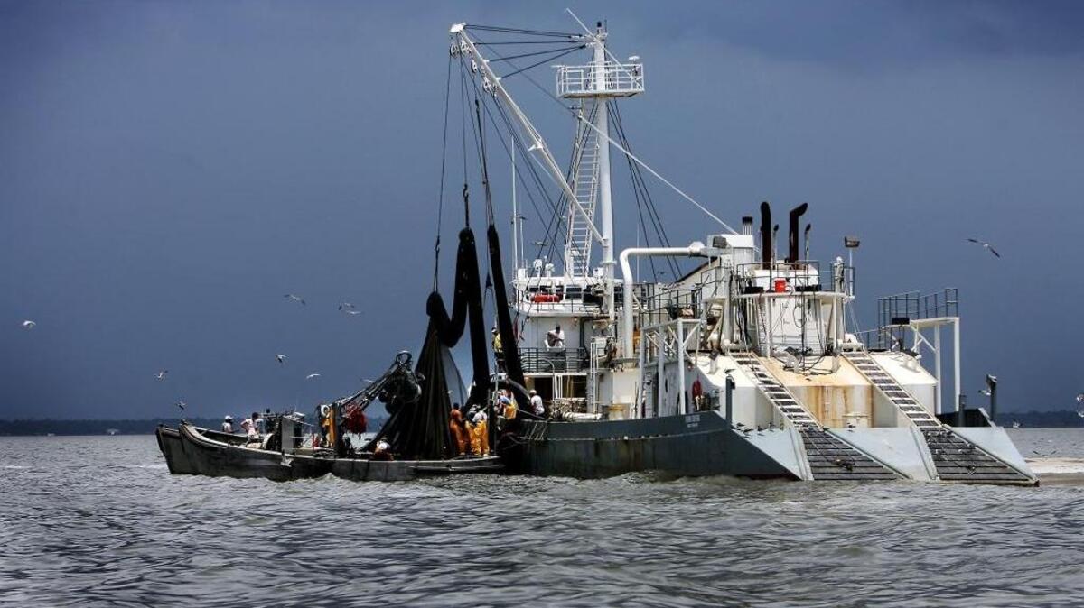 A group of Omega Protein fishing boats in the Mississippi Sound south of Long Beach clean up a spill in 2009.