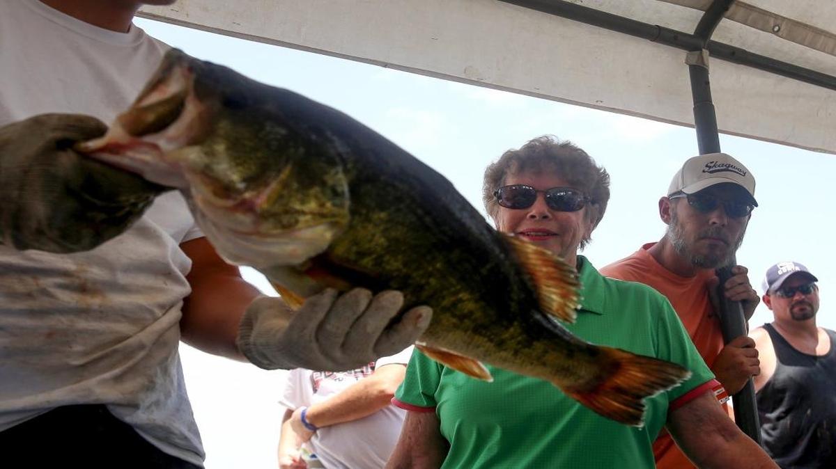 Betty Shirley of Wade watches as one of her green trout are weighed during the 70th annual Mississippi Deep Sea Fishing Rodeo on Sunday, July 2, 2017, at Jones Park in Gulfport.