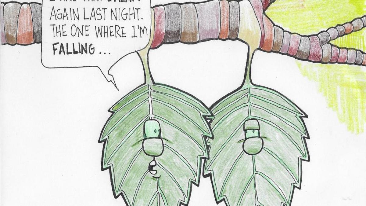 A graphic of leaves