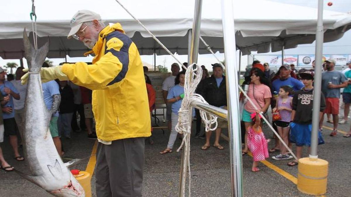 Jim Franks of the University of Southern Mississippi Gulf Coast Research Lab weighs a cobia at a previous Gorenflo’s Cobia Tournament at Point Cadet Marina in Biloxi.