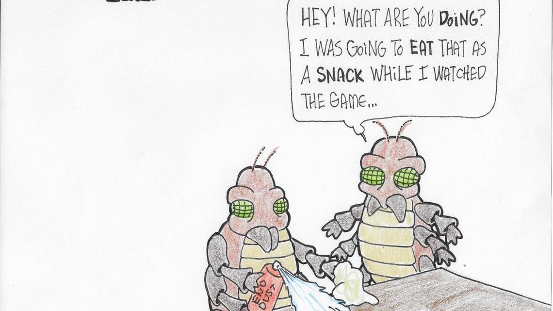 Find out the different ways to eliminate dust mites