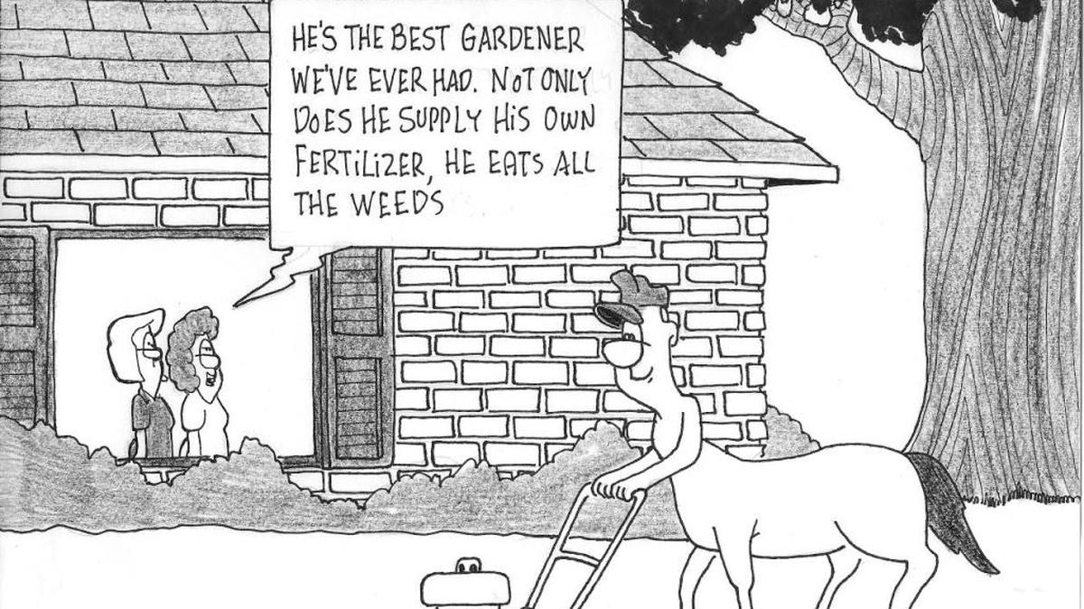 Graphic of herbicides.