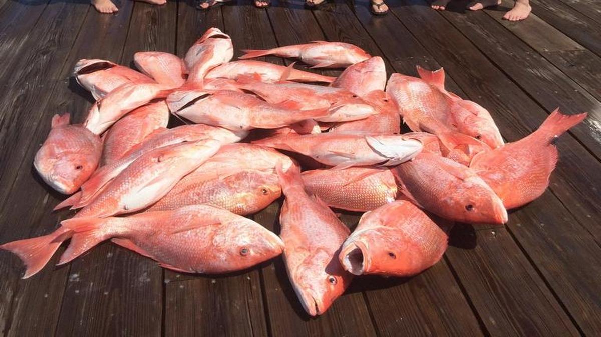 Anglers are upset over the shortened Federal red snapper season.