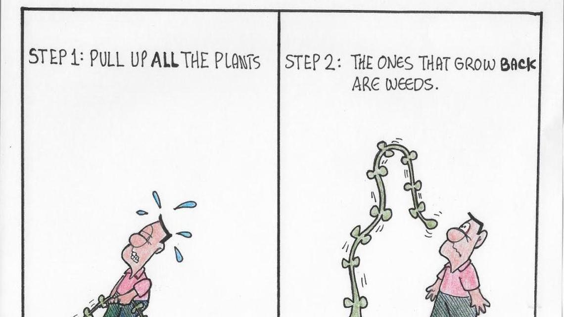 Try organic options instead of pesticides