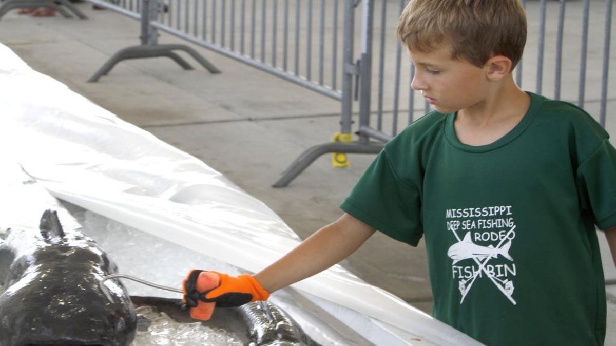 Brodie Armes checks out a catfish on ice at the Mississippi Deep Sea Fishing Rodeo, Friday, June 30, 2017.