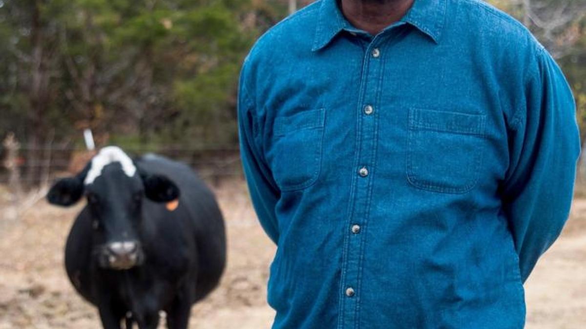 Air Force veteran Leroy Alford is working to become an organic Angus cattle farmer on his 90-acre plot in Clay County. A West Point native who lives in Maryland, he plans to return home permanently in the next five years.