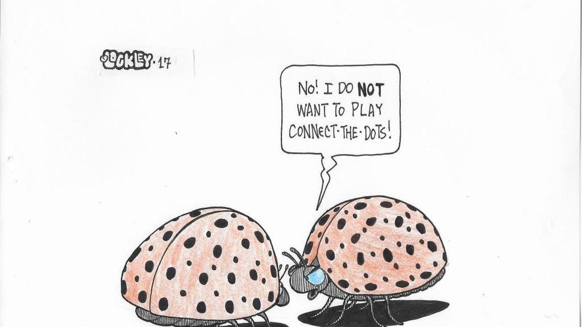 How to keep the Halloween beetle out of your home