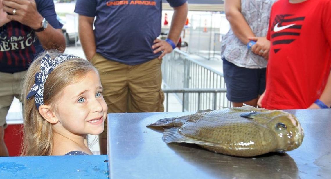 Haley Smith, 11, of Saucier watches as her 1-pound, 11-ounce bream is weighed at the Mississippi Deep Sea Fishing Rodeo at Barksdale Pavilion in Gulfport on Tuesday, July 4, 2017. Smith beat her brother, Bradley by one ounce in the category.