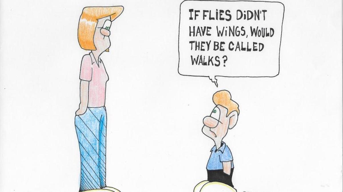 A graphic on stable flies.