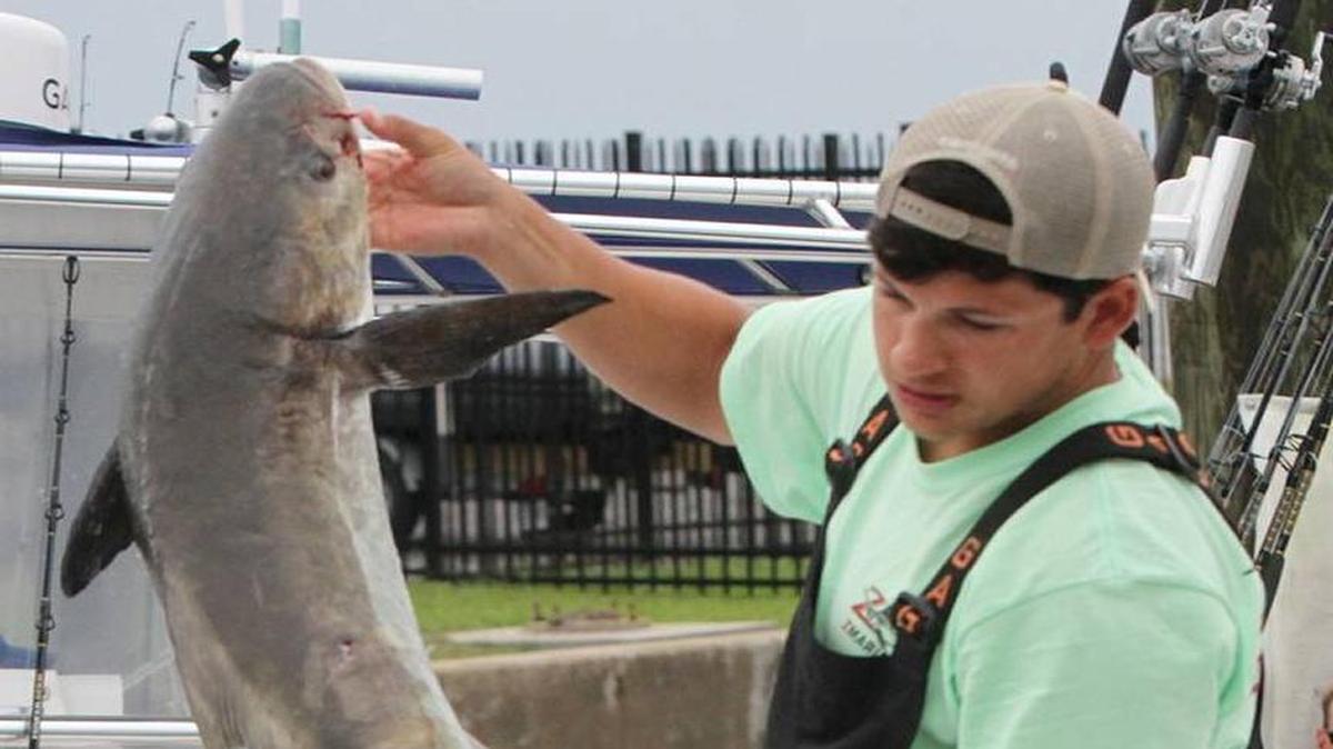 J.T. O’Grady of Ocean Springs unloads a 26.9-pound cobia from ZMarine.net at a previous Gorenflo’s Cobia Tournament.