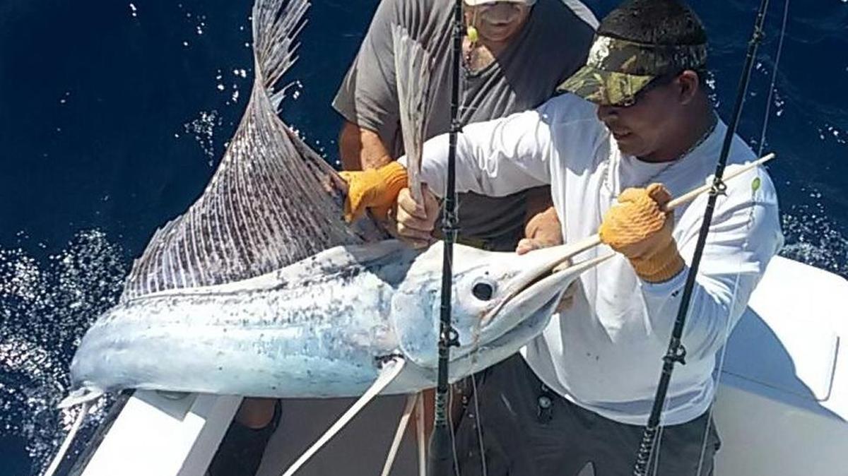 Pass Christian resident Jim Kelly, left, and “Predator” first mate Everth Orosco check out a white sailfish caught in the waters off Costa Rica on Jan. 16.
