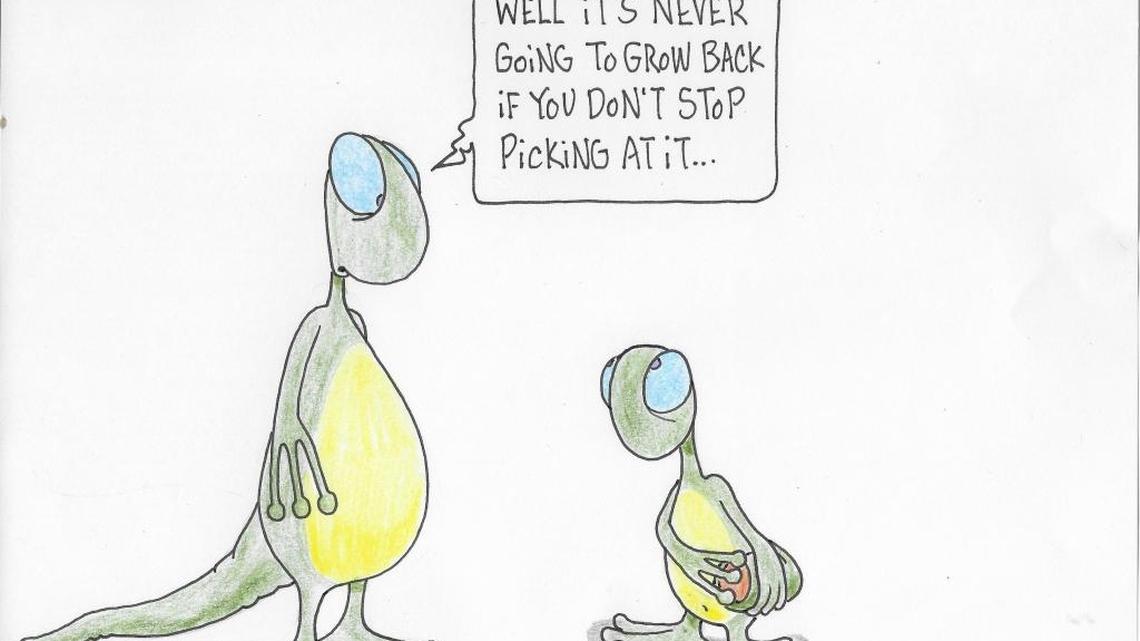 How to get rid of Geckos? Here are a few options