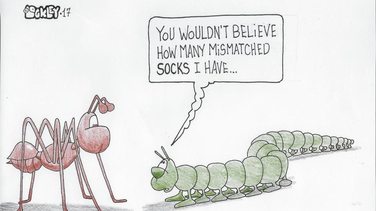A graphic of millipedes