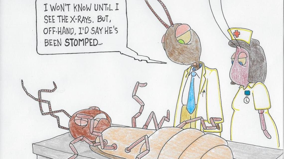 How to get rid of cockroaches