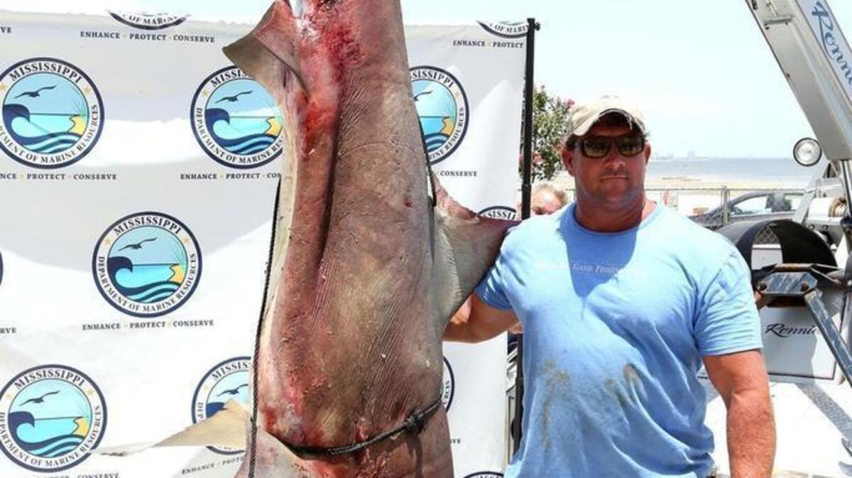 Brett Rutledge stands with his record-breaking 354-pound catch at the Mississippi Deep Sea Fishing Rodeo in July 2017.