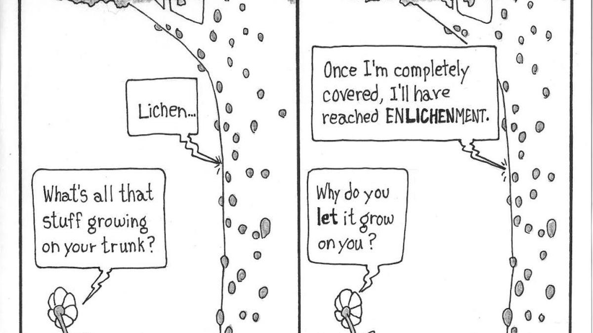 A graphic of lichen.