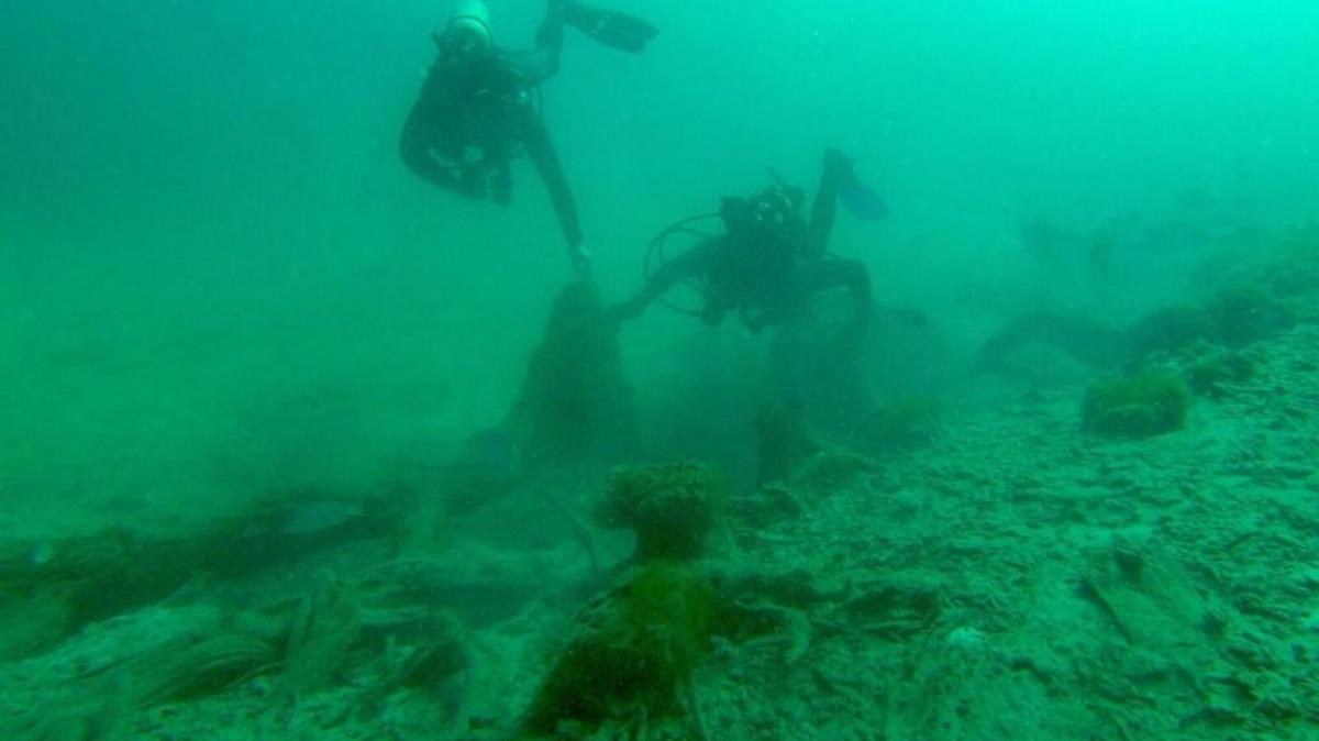 Divers inspect the remnants of an ancient forest off the coast of Alabama that scientists believe was killed by rising waters during an Ice Age.