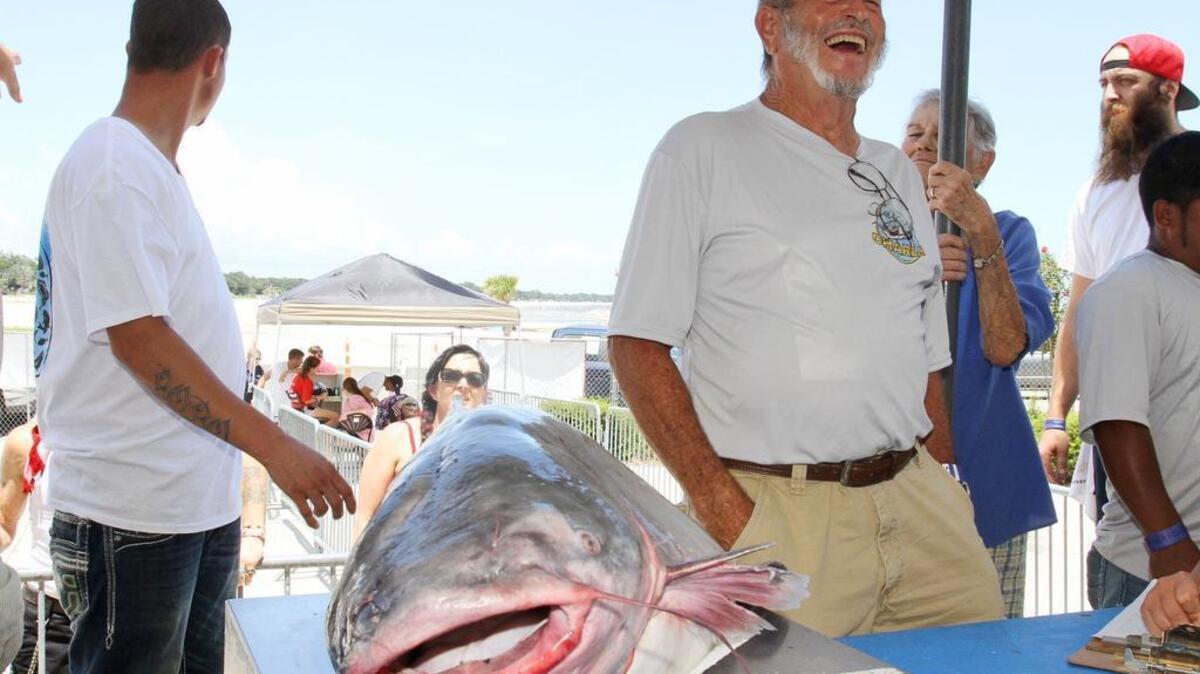 ‘Catfish’ Charlie Yarberry of Moss Point watches as his 42-pound, 10-ounce catfish is weighed at the Mississippi Deep Sea Fishing Rodeo at Barksdale Pavilion in Gulfport on Tuesday, July 4, 2017. The fish took over first place in the division.